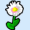Flor tropical